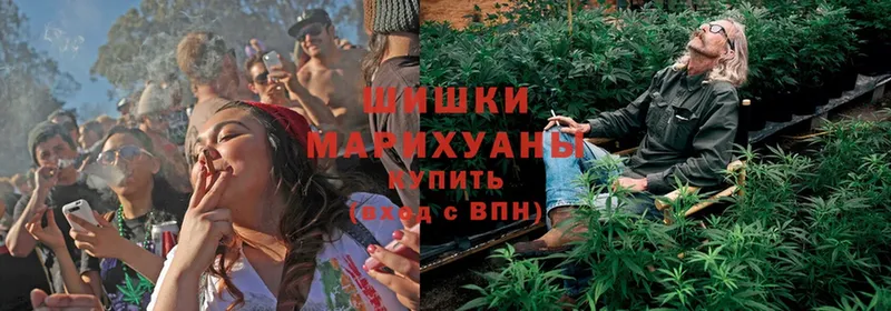 Шишки марихуана LSD WEED  Орлов 